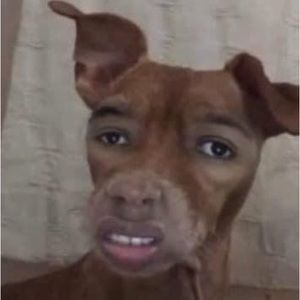 Meet your Posher, Tom